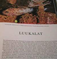 Uusi suuri eläinkirja, osa 3: 
