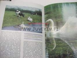 Lintumaailman ihmeet