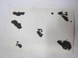 Häät - vihkitilaisuus - hääpari - morsian -valokuva / photograph