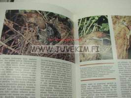 Lintumaailman ihmeet