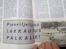 Vappu 1963 lehti - SKDL vappujulkaisu, Tapaus Strömberg, 60 vuotta Forssan kokouksesta, Lauri Letonmäki, TV etsii tietään, Helvi Hämäläinen - Leskimies, EEC, Tehi...