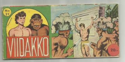 Viidakko  1961 nr 22