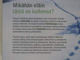 Eläinten jälkiä