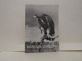 Kainuun linnut II