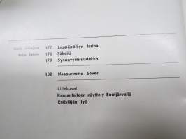 Punalippu 1984 vuosikerta - Karjalais-Suomalaisen SNT:n neuvostokirjailijain liiton kirjallis-taiteellinen ja yhteiskunnallis-poliittinen aikakausjulkaisu