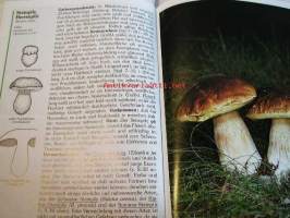 Pilze  Die wichtigsten Speise-und Giftpilze