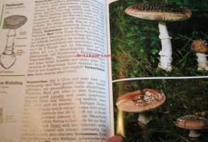 Pilze  Die wichtigsten Speise-und Giftpilze