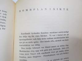 Stridsflygare under Karelens himmel