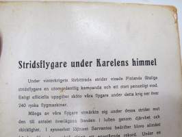 Stridsflygare under Karelens himmel