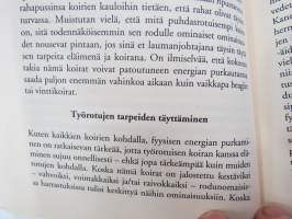 Laumanjohtaja - Koirakuiskaajan vinkit - TV-tähti neuvoo miten johdat koiraa - eikä päinvastoin