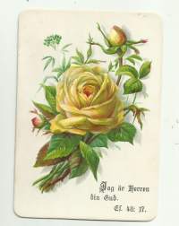 Raamatunlause - kohopaino kortti 1890