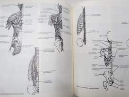 Lihashuollon tukitoimet
