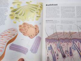 Kehon rakenne, toiminta ja lihashuolto