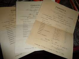 Koulutodistus 3 kpl Luvian Niemenkylän alakansakoulu 1920-luvun alku