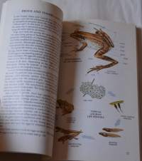 Amphibian of North America