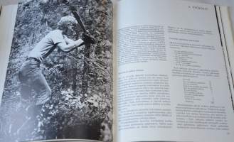 Suomalainen metsätyömies