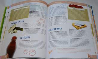 Uudet konstit vanhat aineet