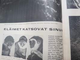 Viikko-Sanomat 1960 nr 44, 28.10.1960, Kongon mellakat, Italialaista kauneutta Kalastajatorpalla, Kultaisen iän juhlaa Heinolassa, Mäntsälän liikenneviidakko, ym.