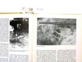 Poliisi kertoo 1979 (Pohjolan poliisi kertoo 1979)