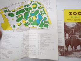 Zoo Antwerp -brochure in english, englanninkielinen eläintarha-esite