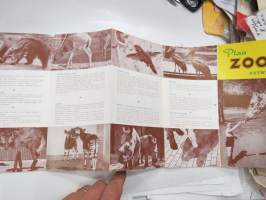 Zoo Antwerp -brochure in english, englanninkielinen eläintarha-esite