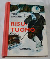 Risu-Tuomo : kertomus huutolaispojan kohtalontiestä