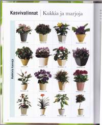 Helpot huonekasvit, 2007. 1.p.Käytännöllisten ohjeiden ja neuvojen avulla onnistut kotisi kasvien valinnassa, kasvattamisessa, hoitamisessa ja sijoittelussa.