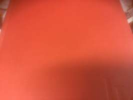 Nuori herra David Viipurista - David Alopaeuksen tarinaa