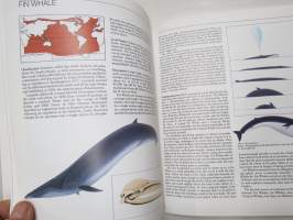 Whales of the World - A comlete guide to world´sliving whales, dolphins and porpoises -maailman valaat, kuvat, esiintymisalueet, luokitus ym.