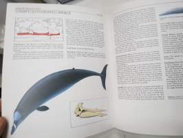 Whales of the World - A comlete guide to world´sliving whales, dolphins and porpoises -maailman valaat, kuvat, esiintymisalueet, luokitus ym.