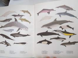 Whales of the World - A comlete guide to world´sliving whales, dolphins and porpoises -maailman valaat, kuvat, esiintymisalueet, luokitus ym.