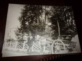 Valokuva kovalevylle 20 x 29 cm Hevonen, hevosmies ja kärryt