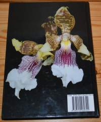 Gynostemia Orchidalium IV