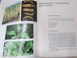 Växtodlingens grunder (kasviviljelyn perusteet, ruotsinkielinen)