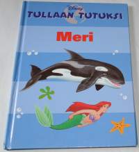 Tullaan tutuksi Meri