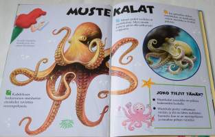 Tullaan tutuksi Meri