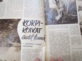 Elokuva-Aitta 1951 nr 15, Kansikuva Rauni Ikäheimo &amp; Tauno Palo, Thrillereitä, Korppikotkat eivät lennä, Clark Gable, Tähtikuvasto Marie Dressler - Katharine Hepburn