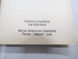Hepuli - koululaisvitsejä -vitsikirja / jokes