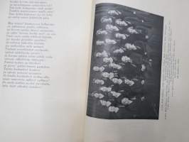 Turun tyttölyseo - Turun suomalainen tyttökoulu 1882-1932 historiikki koulun vaiheista - Painettu 50-vuotisjuhlaan, mukana 50-vuotisjuhlan ohjelmia -school history