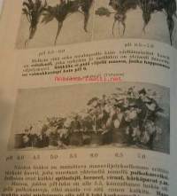 Kalkituskysymys sanoin ja kuvin