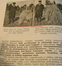 Kalkituskysymys sanoin ja kuvin
