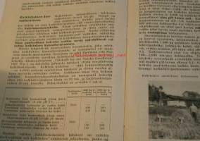 Kalkituskysymys sanoin ja kuvin