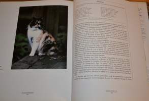 Le Chat Indispensable