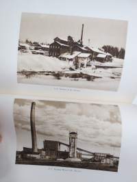 The Finnish Cellulose Union 1918-1928 Historical notes on the cellulose industry in Finland