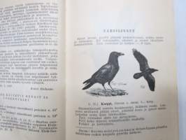Käytännön lintuopas -practical bird guide