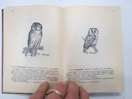 Käytännön lintuopas -practical bird guide