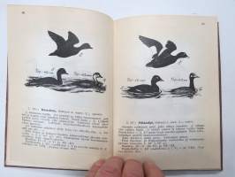 Käytännön lintuopas -practical bird guide
