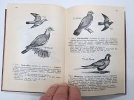 Käytännön lintuopas -practical bird guide