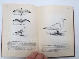 Käytännön lintuopas -practical bird guide