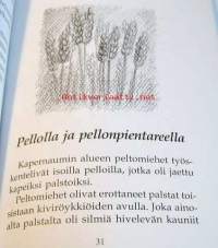 Kummallinen kalansaalis